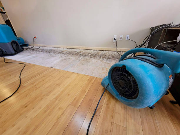 Professional Burst Pipe Water Damage technician working in Richlandtown, PA
